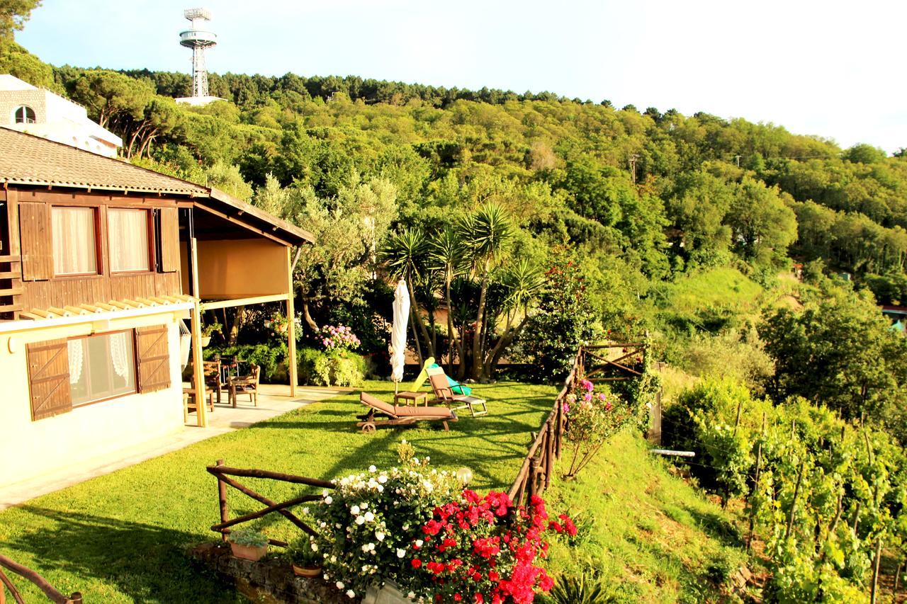 Chalet Annie Willa Półwysep Sorrentyński Zewnętrze zdjęcie